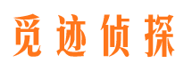 临江市婚外情调查